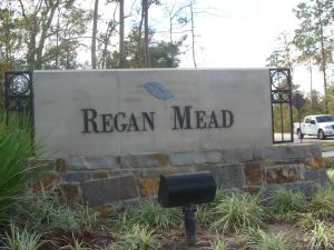 Regan Mead Neighborhood Marquis